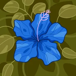 Jyothi R