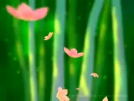 krishna Animation