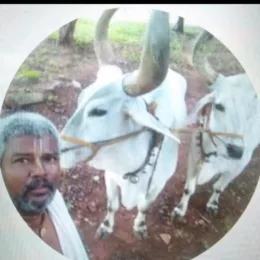 ISKCONDUBAI BABUBHAI
