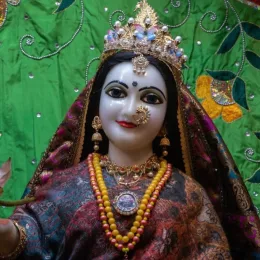 SIMRAN GROVER