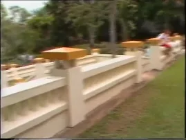 Brisbane Temple Opening - Bhavananda Visit - Chanel Seven News
