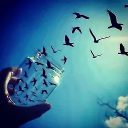FREEDOM