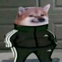 Cheems