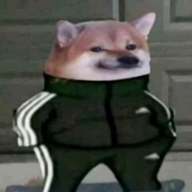 Cheems