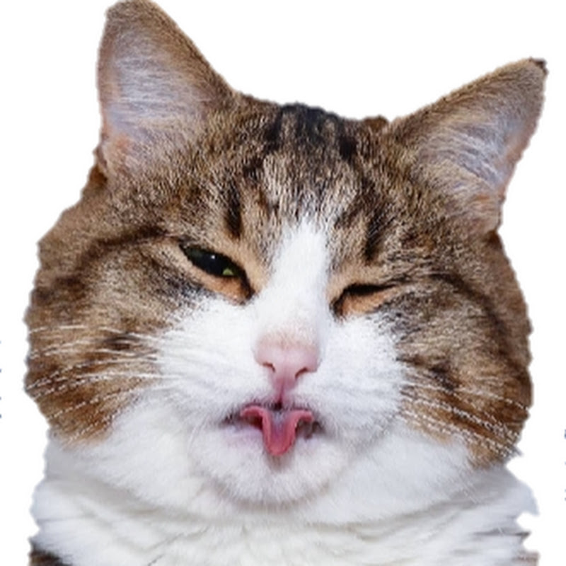 :3