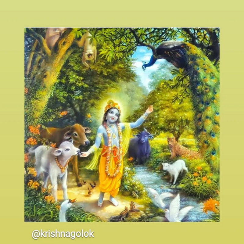 HarshMishra