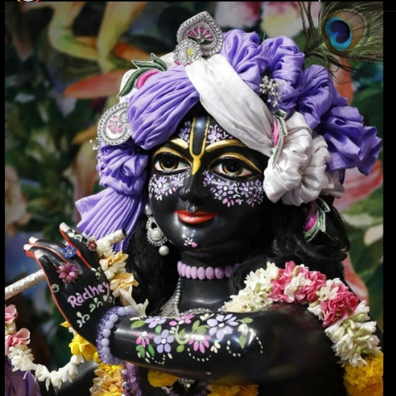 Nandalal vision