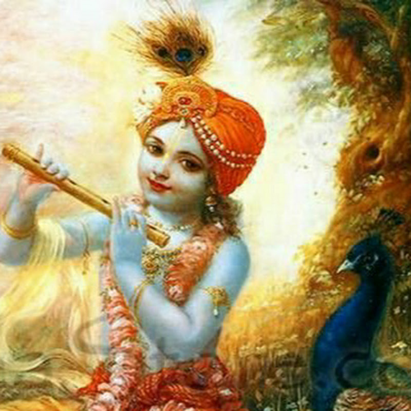 Shailesh Singh