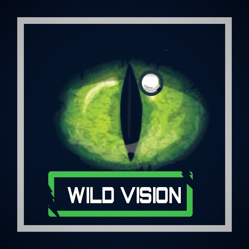 THE WILD VISION