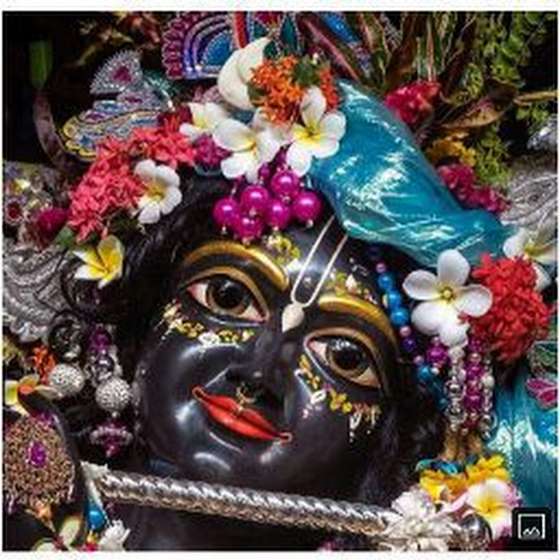 My Love❤ KRISHNA