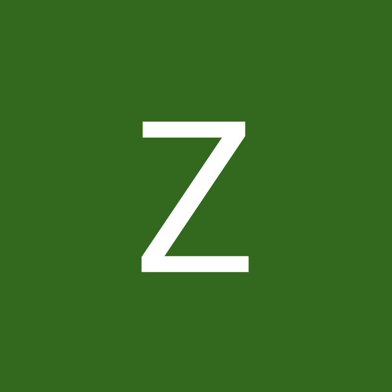 ZARIN ANAN HYDER