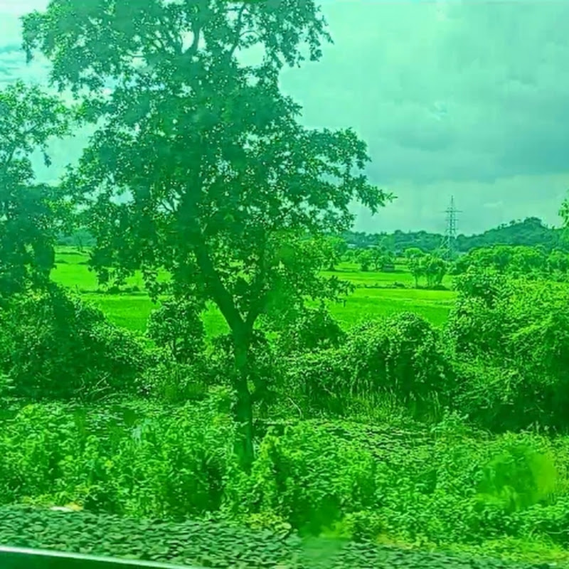 MALAWGARDEN