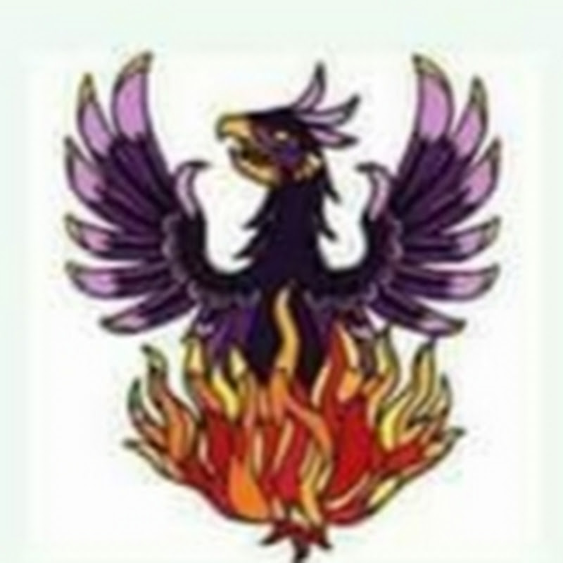 Elgin Phoenix 𓋹