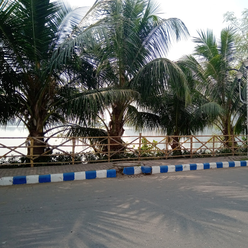 City of Joy