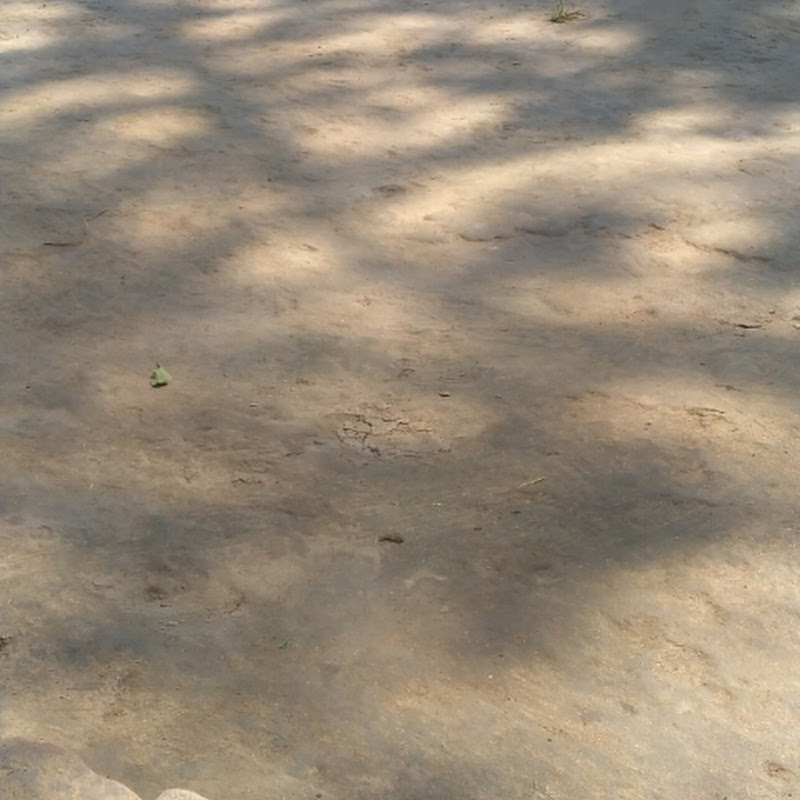 Sunny  Kumar