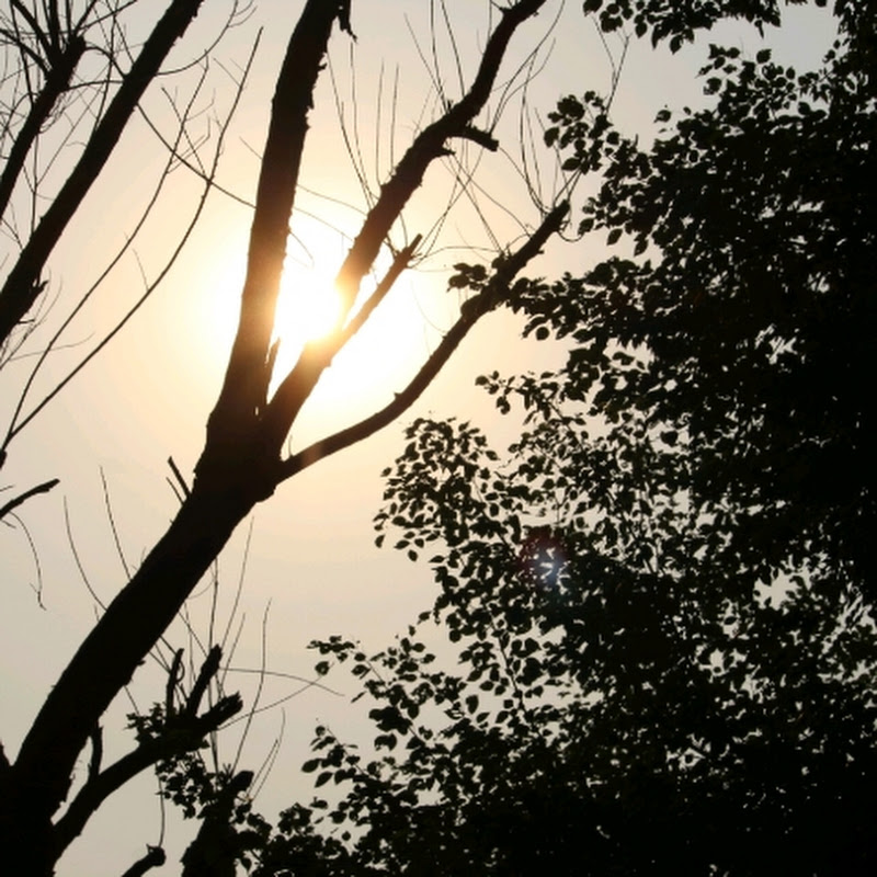 Achyuta Nanda
