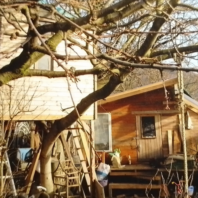 Kiwi Offgrid