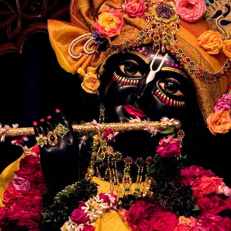 Mritunjoy Sarkar